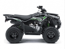 Фото Kawasaki Brute Force 300  №1